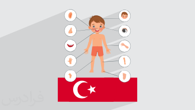 اعضای بدن در زبان ترکی استانبولی + لغات و جملات کاربردی (رایگان)