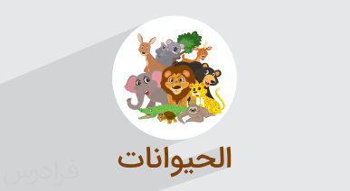 آموزش اسامی حیوانات به عربی
