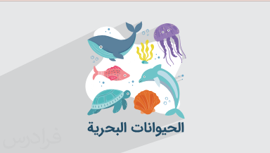 آموزش اسامی جانوران دریایی در زبان عربی + مفرد، جمع و کاربرد آنها در جملات (رایگان)