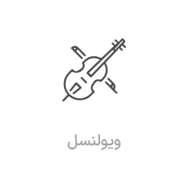 کلاس ویولنسل