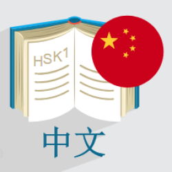 آموزش زبان چینی – سطح مقدماتی HSK1 + گواهینامه