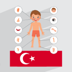 اعضای بدن در زبان ترکی استانبولی + لغات و جملات کاربردی (رایگان)