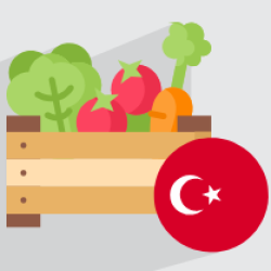 آموزش میوه‌ ها و سبزیجات به زبان ترکی استانبولی + مثال (رایگان)