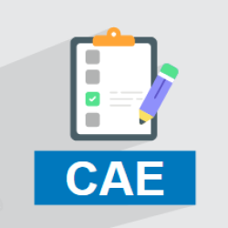آزمون کمبریج انگلیسی CAE چیست؟ + ساختار و نمره‌دهی (فیلم آموزش رایگان)