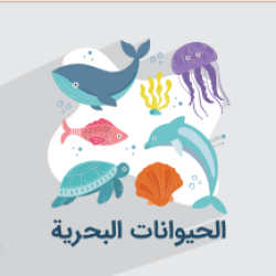 آموزش اسامی جانوران دریایی در زبان عربی + مفرد، جمع و کاربرد آن‌ها در جملات (رایگان)