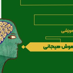 هوش هیجانی
