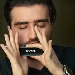 آموزش ساز دهنی