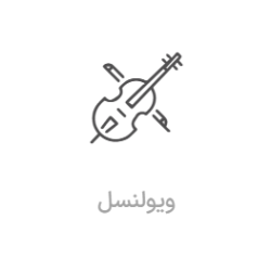 کلاس ویولنسل