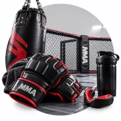 آموزش mma (هنرهای رزمی ترکیبی)