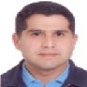 محمدحسین فریدونی