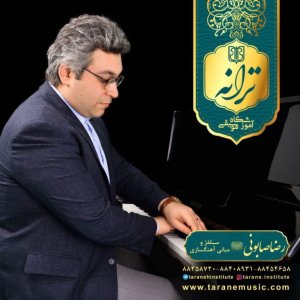رضا صابونی